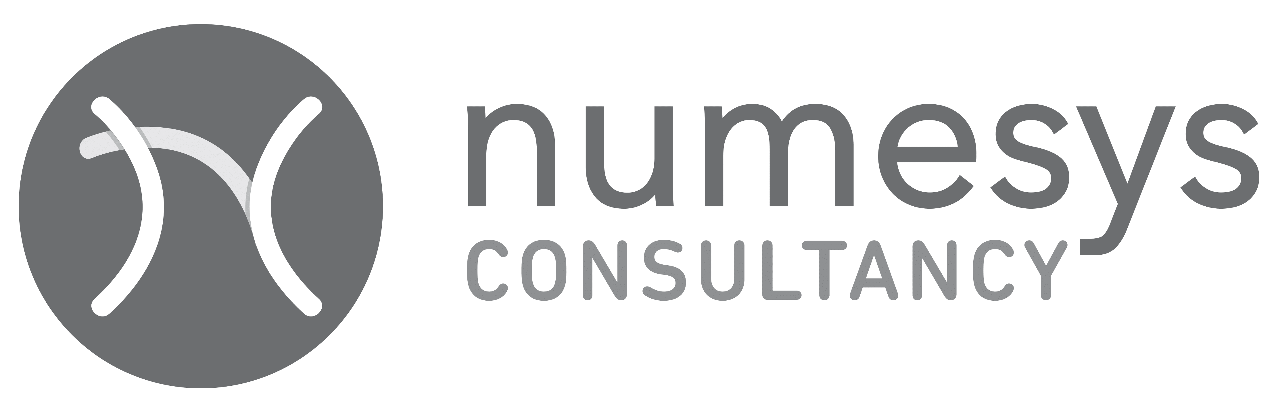 Numesys Consultancy