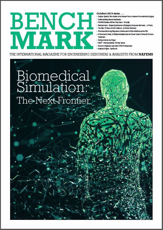 Biomedical Simulation: The Next Frontier