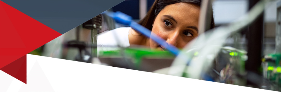 The Challenges of New Advanced Simulation Techniques The Challenges of New Advanced Simulation Techniques