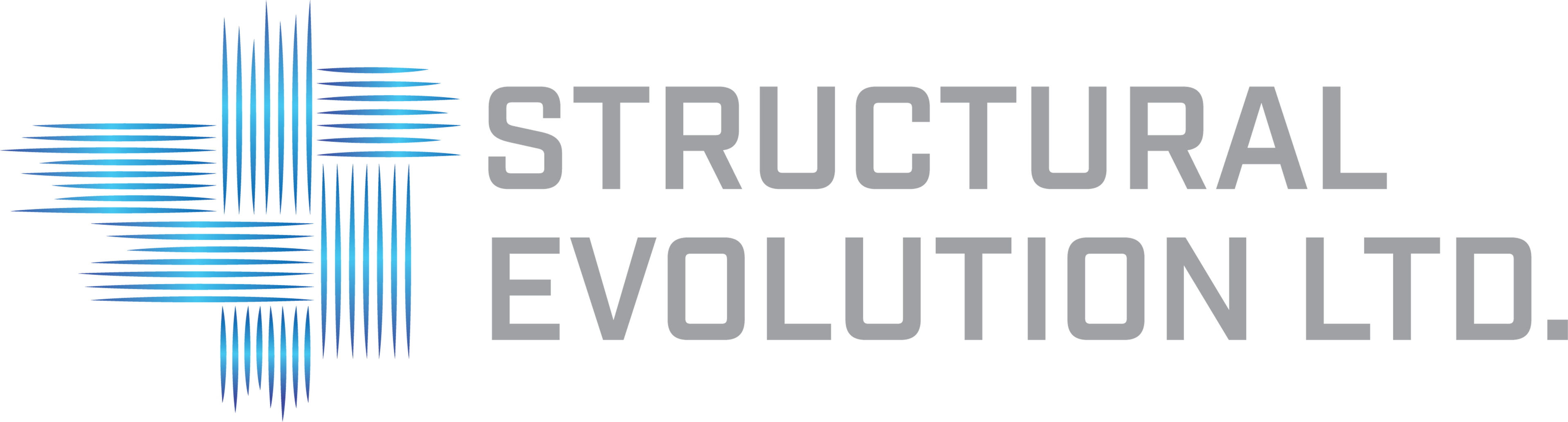 Logo StructEvo